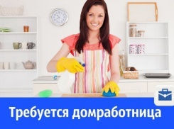 Требуется домработница для молодых занятых людей