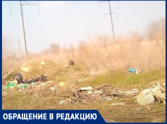«Свозят гнилые помидоры и прочий мусор»: волгодонец обнаружил нелегальную свалку в Красном Яру 