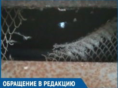 Подвал девятиэтажного дома затоплен и похож на болото, - волгодончанка
