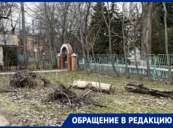 «Что за Бермудский треугольник?!»: Волгодонцы потребовали убрать горы веток рядом с «поликлиникой АЭС»