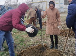 Регоператор «ЭкоЦентр» помогает в озеленении Волгодонска