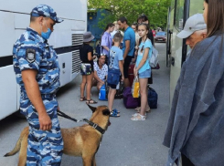 В дорогу к Азовскому морю школьников из Волгодонска проводил дружелюбный служебный пес