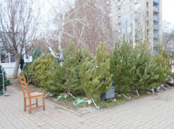 Два десятка нарушений было выявлено в Волгодонске во время подготовки к новогодним праздникам 