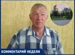 Всероссийское общество охраны природы намерено потребовать прекратить вырубку деревьев на улице Ленина