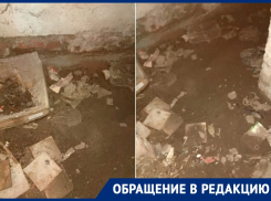  «Более 7 лет подвал затоплен, а в подъезде вонь»: волгодонцы о невыносимой жизни в МКД