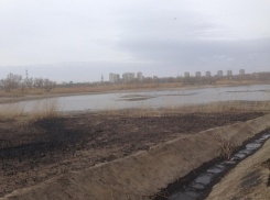 Для снижения популяции комаров в Волгодонске проведут обработку на водоемах