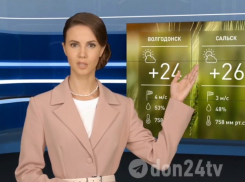 Будущее наступило: о погоде в Волгодонске и других городах региона рассказала нейросеть