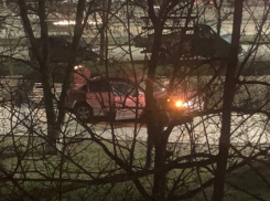 Неизвестный проехался по пешеходной аллее в центре Волгодонска 