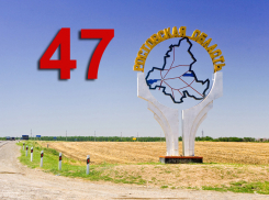 «Чиновнику не нужны ларьки, потому что он обедает в ресторанах» - глава союза работников торговли и сферы услуг о 47-м месте Ростовской области в рейтинге регионов