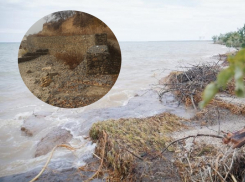 В Минприроды рекомендовали Волгодонску построить дамбу в садоводстве «Мирный атом» 