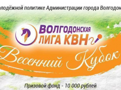 15 команд примут участие в Весеннем Кубке Волгодонской лиги КВН 