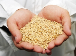 В школе №11 Волгодонска изъяли некачественные крупы