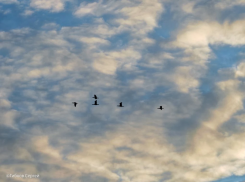 Антициклон принес в Волгодонск ясную погоду