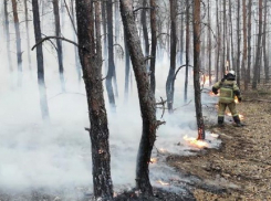Спасатели из Волгодонска экстренно отправились на тушение лесных пожаров на севере области