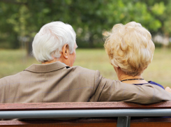 Всего одна приемная семья для пожилого человека существует в Волгодонске 