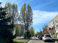 До +28 градусов ожидается сегодня в Волгодонске 