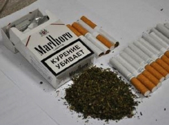  Волгодонец маскировал марихуану под табак