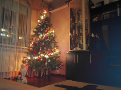 Новый год в семье: волгодонцы могут пригласить к себе детей-сирот и оставшихся без попечения