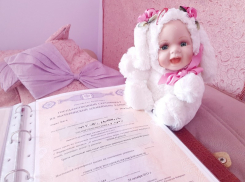 Волгодонцы смогут оплатить частный детский сад за средства материнского капитала