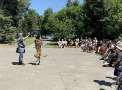 Полицейские Волгодонска показали детям служебных собак и криминалистику в лагере «Ивушка»
