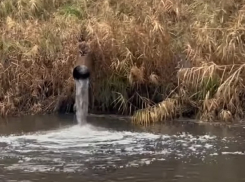 План по борьбе со зловонием из канализации появился в Цимлянске