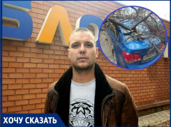Упавшее на автомобиль дерево третий день не убирают в Волгодонске 