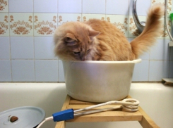 После гидравлических испытаний 38 домов по-прежнему остаются без горячей воды