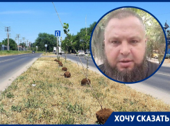 Волгодонец готовит заявление в Генпрокуратуру РФ в связи с высадкой тополей на Прибрежной