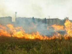 В новом городе сгорело 5 гектаров сухостоя