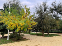 Холодный ветер с порывами до 15 м/с ожидается в Волгодонске сегодня