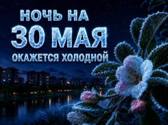 Температура может опуститься ниже нуля: внезапные заморозки ожидаются в Волгодонске под конец весны
