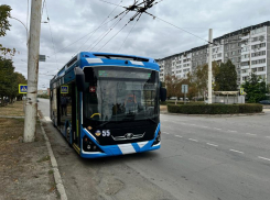 Бесплатный проезд или денежная выплата: волгодонцам напоминают о выборе льготы