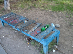 «Суд удовлетворил иск к московским подрядчикам, из-за которых Волгодонск зарос травой и мусором» - Сергей Вислоушкин