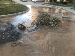 «Море ближе, чем ты думаешь»: очередной порыв на Весенней 