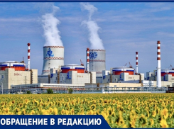 «Если будет Новочеркасская АЭС около Ростова, то что делает Ростовская АЭС рядом с Волгодонском?»: волгодончанка