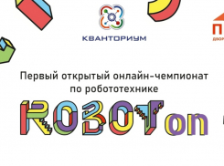 Волгодонцы стали победителями онлайн-чемпионата по робототехнике «RobotOn»