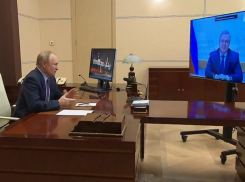 «Вы хотели поговорить?»: Владимир Путин выслушал Василия Голубева в режиме онлайн