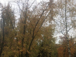 Потепление и окончание дождей: что ждет волгодонцев в пятницу