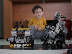 В Волгодонске роботы «Гуманитарный Петя», «Технарь Вася», «Уничтожитель» и другие устроили битву-сумо