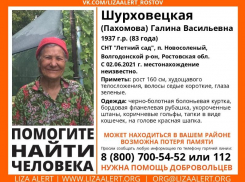 Без вести пропавшую 83-летнюю пенсионерку разыскивают в Волгодонске 