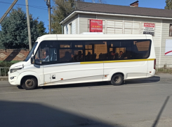 Частные перевозчики в Волгодонске собираются купить 5 автобусов 