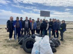 В Цимлянске на городском пляже прошёл субботник