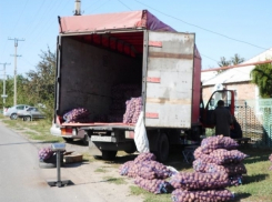 Муниципальные инспекторы Волгодонска составили более 30 протоколов за прошедшую неделю