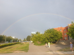 Жара и «слепой» дождик ожидаются в Волгодонске в понедельник