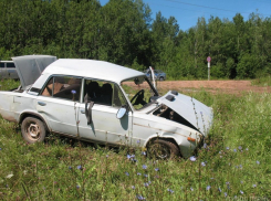 В Мартыновском районе при попытке обгона «шестерка» врезалась в столб - есть пострадавшие