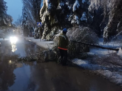 Режим повышенной готовности ввели в Волгодонске и районе