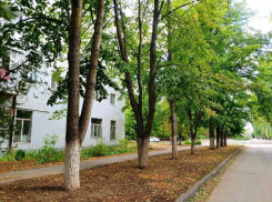 Пасмурно и до +17: прохладная среда ждет жителей Волгодонска 