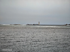 Уточки в море, берег в снегу, но весна все ближе: душевный видеорепортаж Сергея Гибкова с берега водохранилища