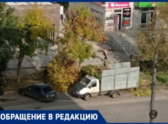 «Ради магазинов на улице Маршала Кошевого массово вырубают деревья»: обеспокоенные волгодонцы 