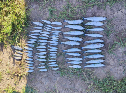 Двое браконьеров нанесли ущерб более 113 тысяч рублей на Цимлянском водохранилище